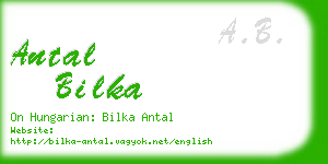 antal bilka business card